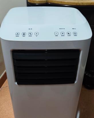 climatizzatore portatile 