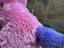 Immagine 4
