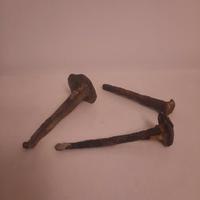 chiodi antichi giganti