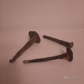 chiodi antichi giganti