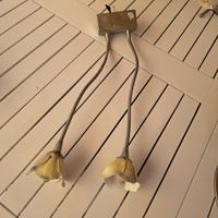 applique con fiori gialli 