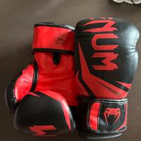 Guantoni boxe