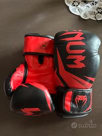 Guantoni boxe