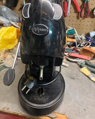 Baby frog