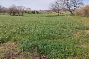 Terreno a Civitanova Alta