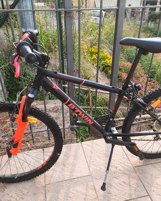 bicicletta 