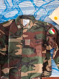 mimetica Aeronautica militare 