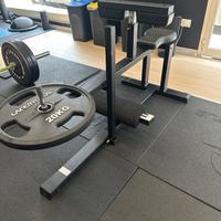 Calf machine Panatta