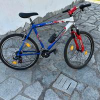 bicicletta da Ragazzo