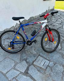 bicicletta da Ragazzo