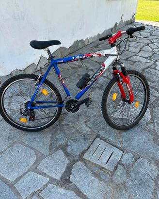 bicicletta da Ragazzo