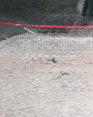 Rete da beach volley