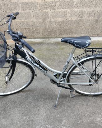 bicicletta