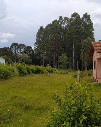 Proprietà con casa 42.350 m2- in brasile