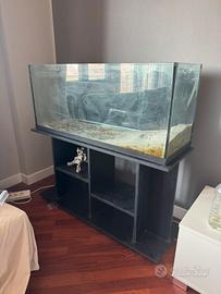 Acquario 200L con mobile