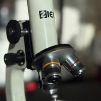 Microscopio Sigma 960x Ziel