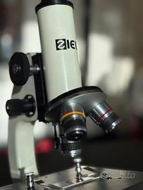 Microscopio Sigma 960x Ziel