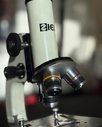 Microscopio Sigma 960x Ziel