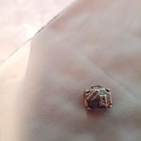 Charms Pandora argento 925