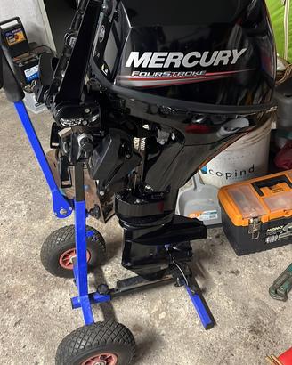 CANADIAN 375 SPONDE ALTE+MERCURY 9.9 4T