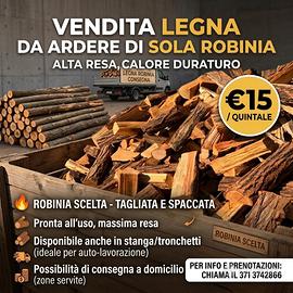 Legna da ardere