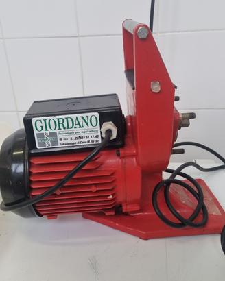 Tritacarne professionale 