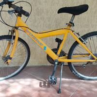 Bici Vicini MTB - gialla