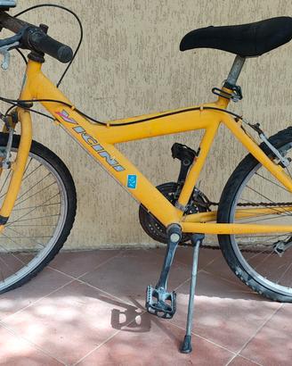 Bici Vicini MTB - gialla