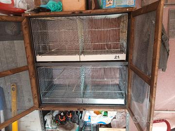 voliere/ gabbie da 90