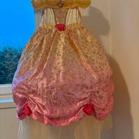 Vestito da carnevale