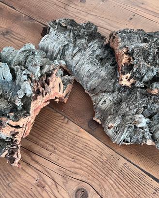 Corteccia sughero naturale