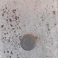 moneta del Marocco fuori corso 
