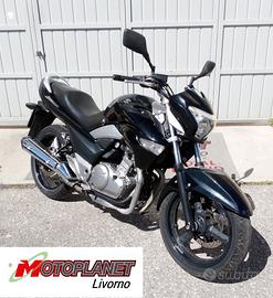 Suzuki Inazuma 250