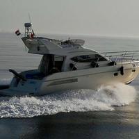Alpa 36 Fly