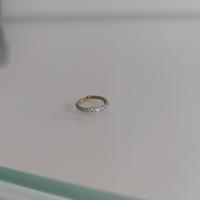 Orecchini Helix in Titanio 