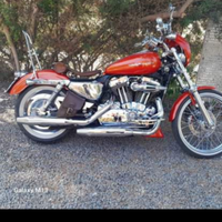 Sportster 1200 c custom
