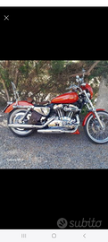Sportster 1200 c custom