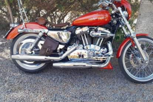 Sportster 1200 c custom