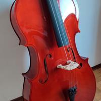 Violoncello 4/4