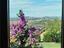 Immagine 8