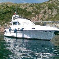 Piantoni hurricane 35 fly