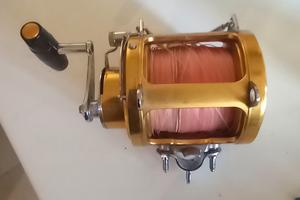 mulinello pen da 80 lb