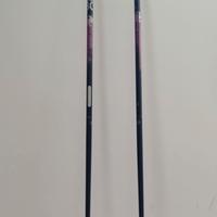 Bastoncini Nordic Walking.