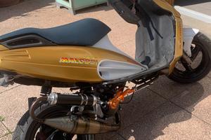 Malaguti phantom f12