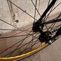 BICICLETTA SCATTO FISSO