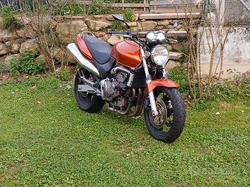 Hornet 600
