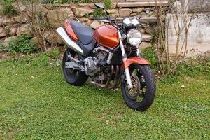Hornet 600