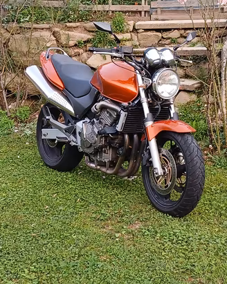 Hornet 600