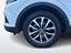 Immagine 23