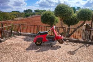 Vespino 50Special V5B3T